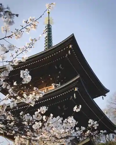 大雄院(群馬県)