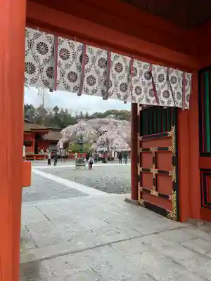 富士山本宮浅間大社(静岡県)
