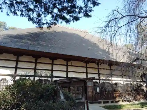 茂林寺(群馬県)