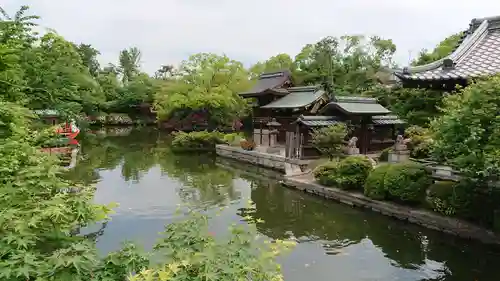 神泉苑の庭園