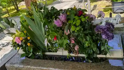 勝林寺(京都府)