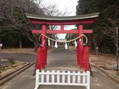 八幡社(中田八幡社)の鳥居