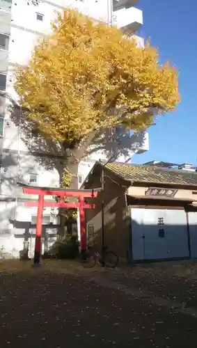 五郎久保稲荷神社の鳥居