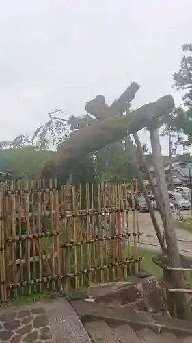 氷室神社の庭園