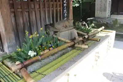 北野天満宮の手水舎