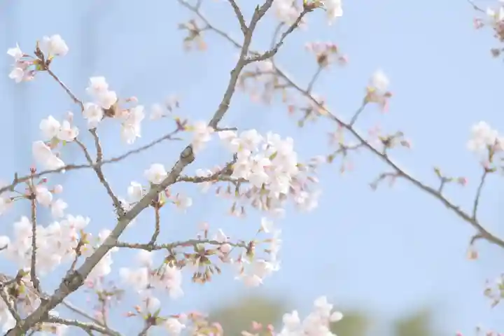 金剛宝寺(紀三井寺)の自然