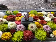 宇佐八幡神社(徳島県)