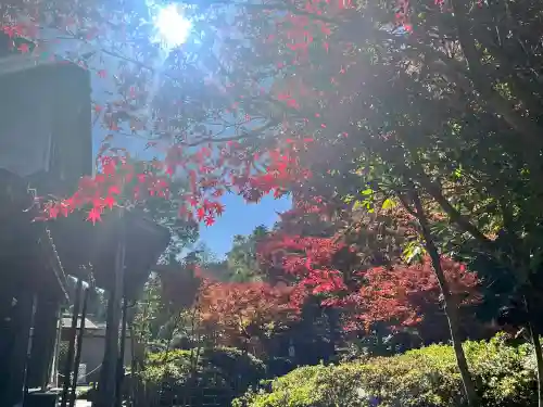 常樂寺(滋賀県)