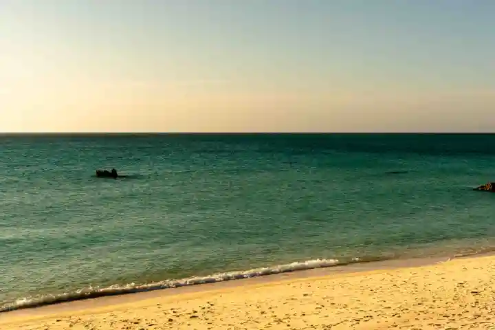 宮古神社(沖縄県)