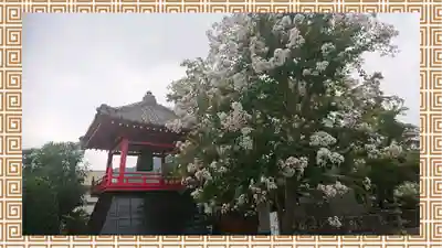 大蔵院(群馬県)