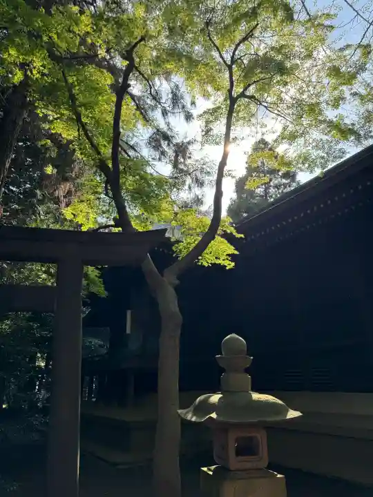 土支田八幡宮の{uncategorized: "未分類", other: "その他", undefined: "問題あり", building: "その他建物", grave: "お墓", sacred_gate: "鳥居", guardian: "狛犬", statue: "像", buddha: "仏像", history: "歴史", nature: "自然", garden: "庭園", animal: "動物", pagoda: "塔", temizu: "手水舎", mountain_gate: "山門・神門", sanctuary: "本殿・本堂", subordinate: "末社・摂社", art: "芸術", scenery: "景色", jizo: "地蔵", ema: "絵馬", goshuin: "御朱印", omikuji: "おみくじ", items: "授与品その他", amulet: "お守り", goshuincho: "御朱印帳", eats: "食事", festival: "お祭り", votive_dance: "神楽", shichigosan: "七五三参", wedding: "結婚式", experience: "体験その他", initially: "初詣", around: "周辺", anti_infection: "感染症対策"}