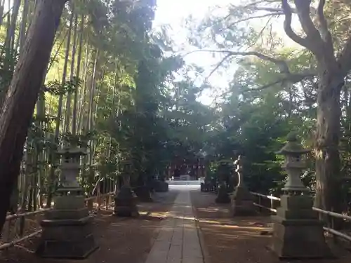 喜多見氷川神社の自然