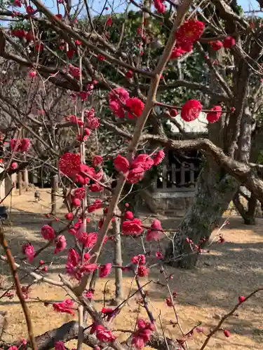 綱敷天満宮の庭園