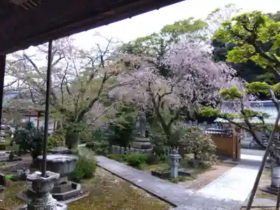 安養寺(福井県)