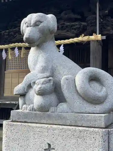 橘樹神社の狛犬