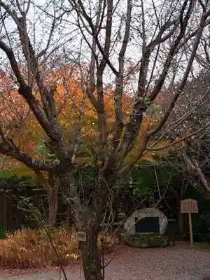 白毫寺(奈良県)