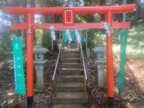 泉神社の鳥居