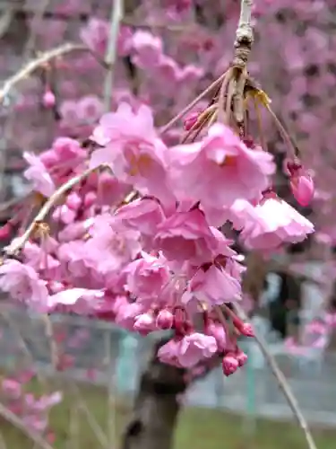 常宣寺(福島県)