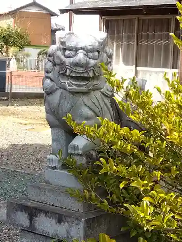 今宿八坂神社の狛犬