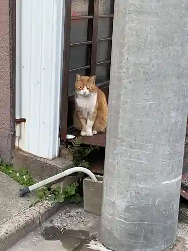 善成寺（旧堂）(愛知県)