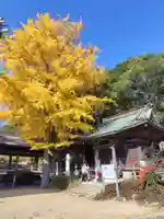 村松虚空蔵堂(日高寺)(茨城県)