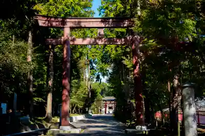 大前神社の鳥居