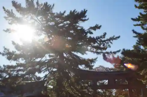 氣比神宮(福井県)