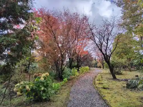 美瑛神社の庭園