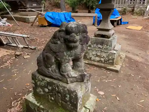 春日神社の狛犬