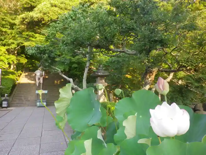長谷寺のその他建物