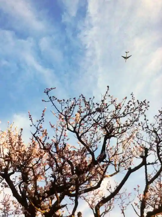 瑞円寺(東京都)