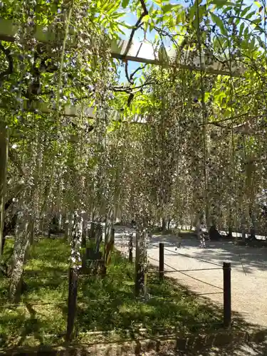 三大神社の自然