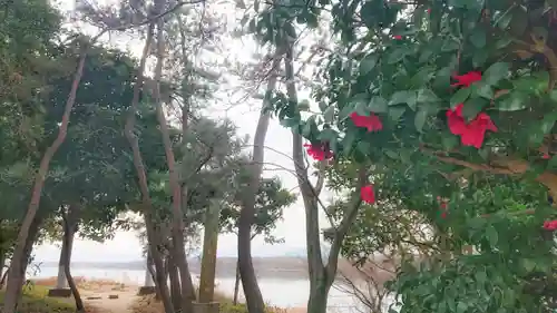 若宮神明社の景色