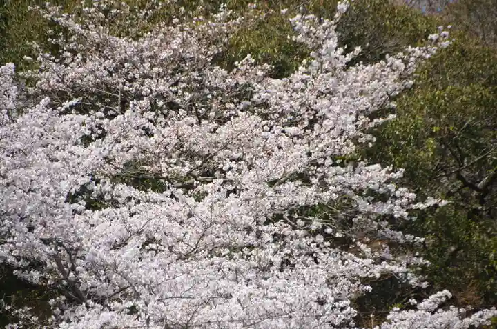 吉備津彦神社(岡山県)