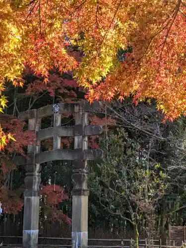 化野念仏寺の鳥居