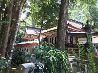 鹿島神宮の本殿・本堂