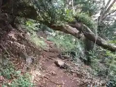 伊豆山神社の建物その他