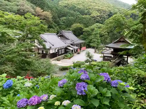 普門寺(切り絵御朱印発祥の寺)の景色