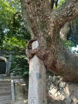 八剣神社(福岡県)