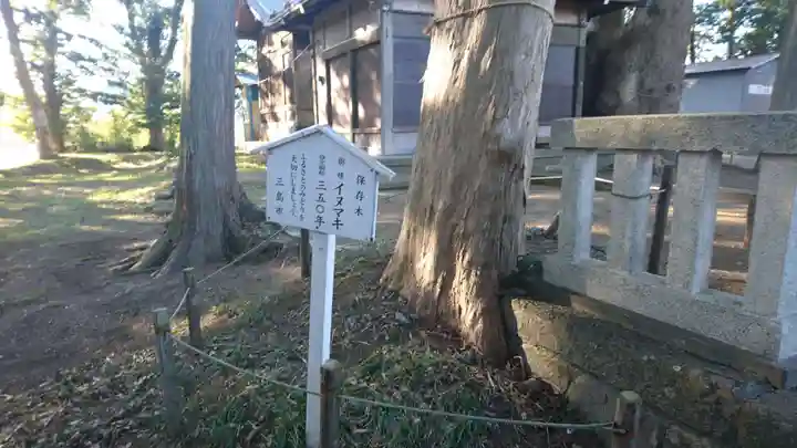 神明宮(御園)の自然