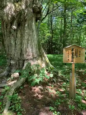 高房神社　上社(栃木県)