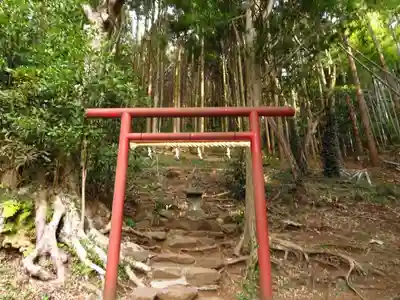 伊豆山神社の鳥居
