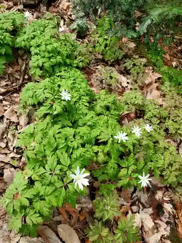 磐椅神社(福島県)