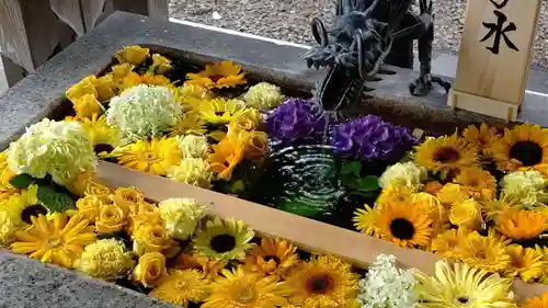 札幌諏訪神社の手水舎