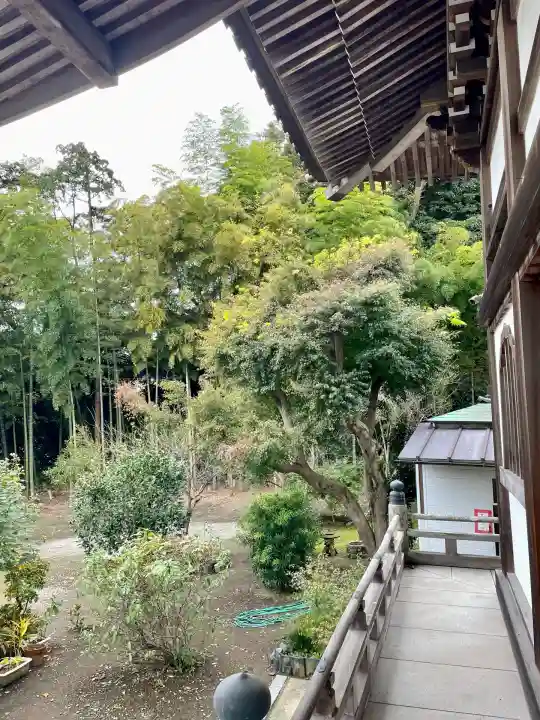 妙伝寺(妙傳寺)(神奈川県)