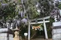春日神社の鳥居