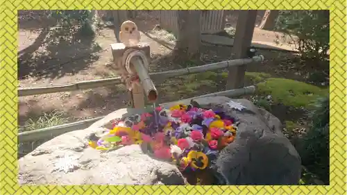 馬場氷川神社(埼玉県)