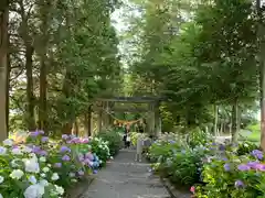 磯山神社の建物その他