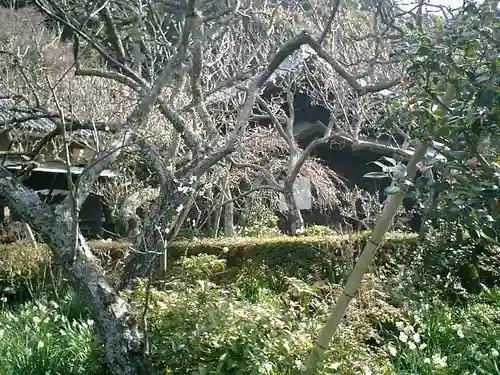 瑞泉寺のその他建物