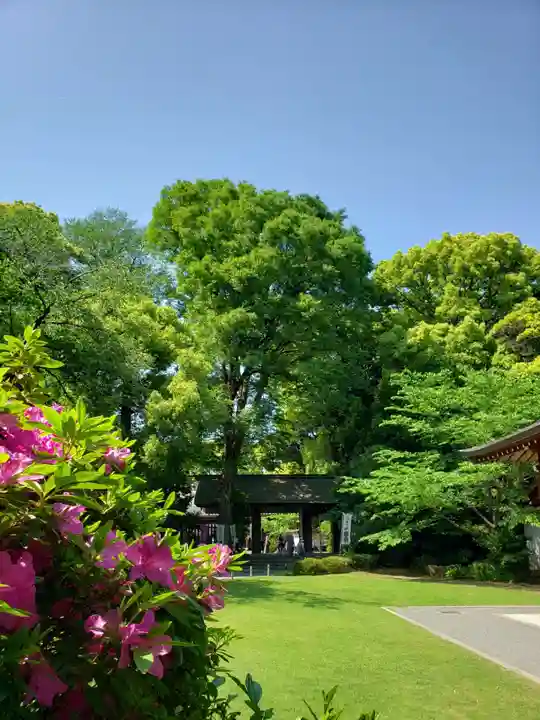 阿佐ヶ谷神明宮(東京都)